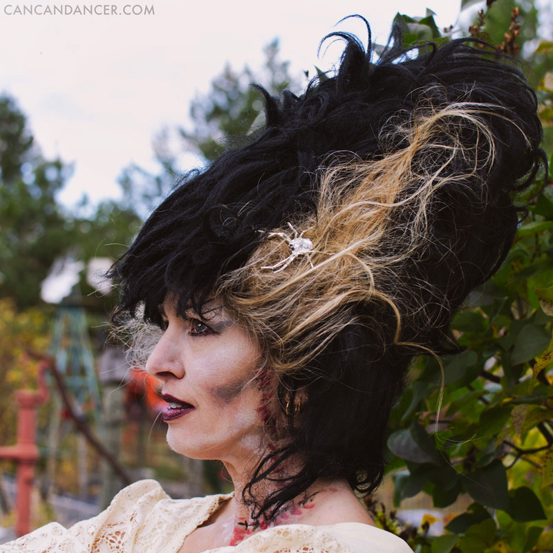 bride of frankenstein wig